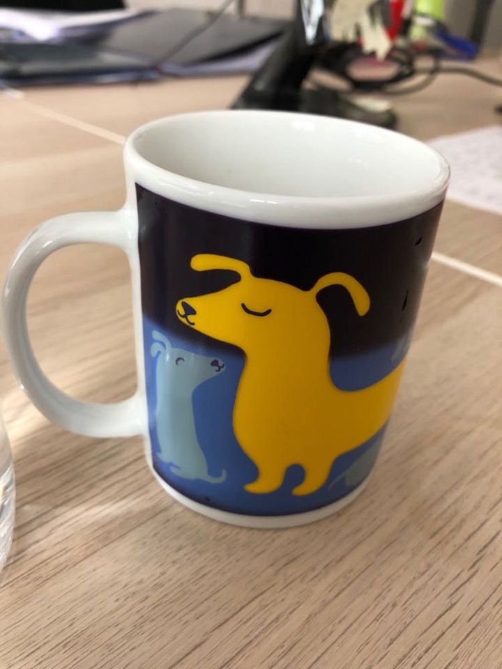 Heat-changing dachshund mug